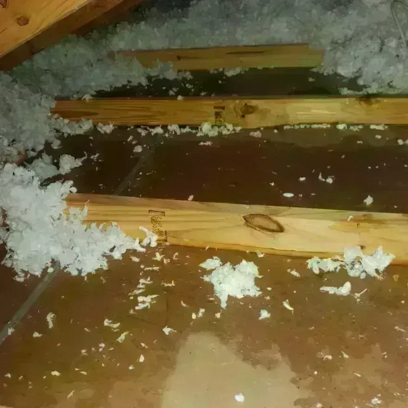 Attic Water Damage in Hernando County, FL