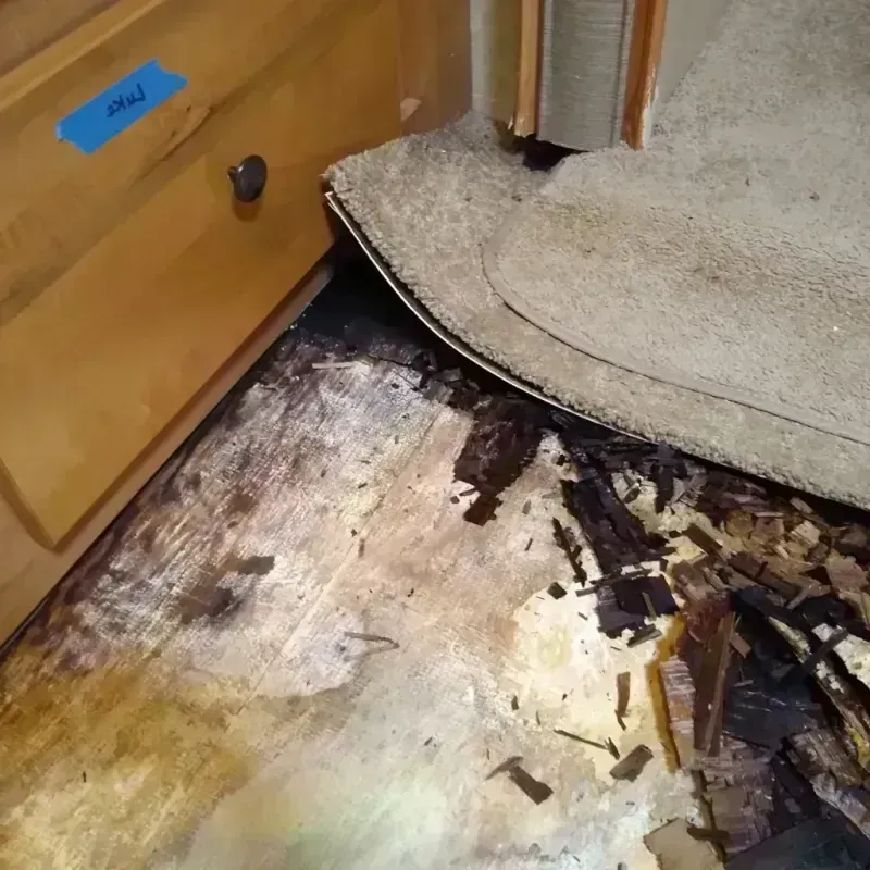 Wood Floor Water Damage in Hernando County, FL